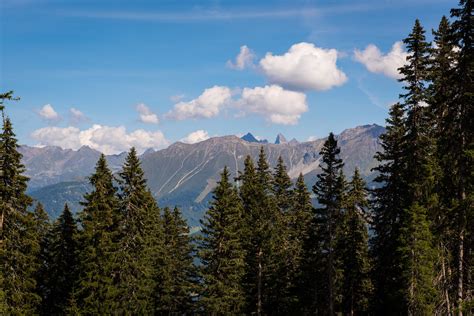 Free Images Landscape Tree Nature Wilderness Cloud Sky Meadow