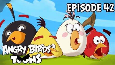 Angry Birds Toons Hiccups S1 Ep42 Youtube