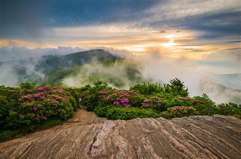 North Carolina Appalachian Trail Spring Blue Ridge Mountains Photograph