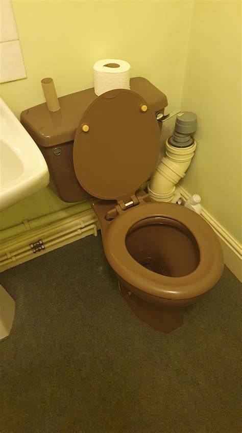 My Works Poo Coloured Toilet Is Perfect For When I Cba Cleaning Up