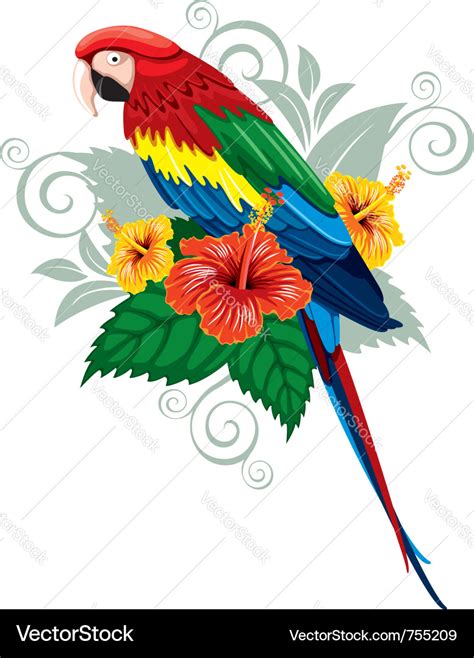 Bright Parrot Royalty Free Vector Image Vectorstock