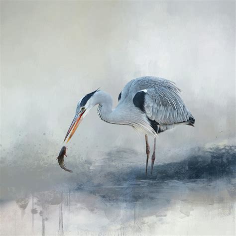 Abstract Watercolor Painting With Blue Heron Digital Art By Diana Van