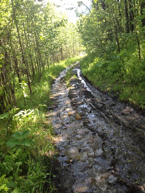 Five ways to master muddy spring trails - Canadian Running Magazine
