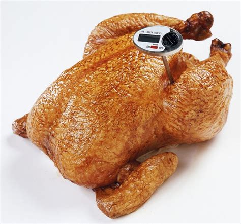 Meat Thermometer Turkey Placement Foto Bugil Bokep
