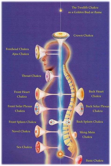 Chakras Pranic Healing Chakra Energy Healing