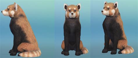 I Made A Red Panda Rthesims