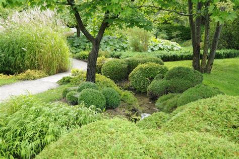 Landscaping With Hostas And Ferns 827324 Stock Image Image Of Hostas