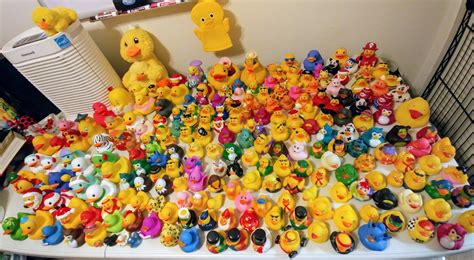 Ive Been Collecting For Over 10 Years 187 Mini Ducks 40 Bigger