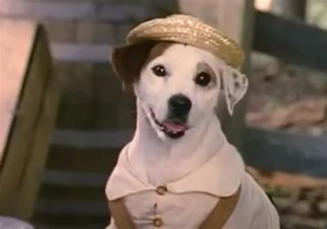 A ‘wishbone Movie Based On The 90s Tv Series Is In The Works