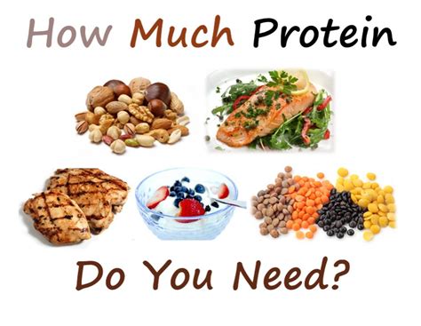 21 Can You Eat Too Much Protein On Hcg Diet Pics
