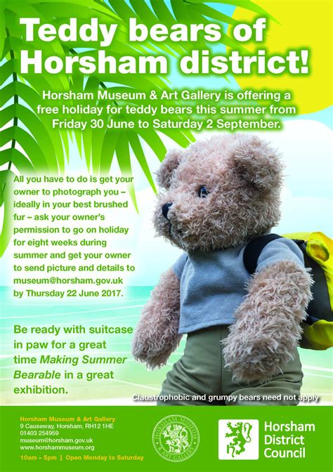 Send Your Teddy Bear On Holiday Horsham District Council