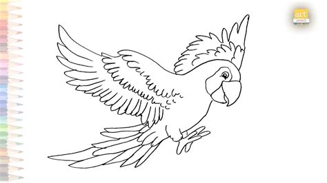 Flying Macaw Drawing Easy How To Draw A Macaw Step By Step Macaw