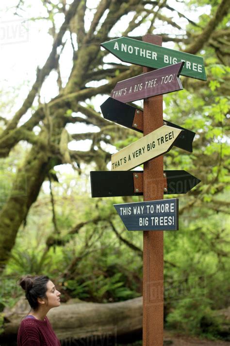 Funny Directional Sign In Redwood Forest Redwoods