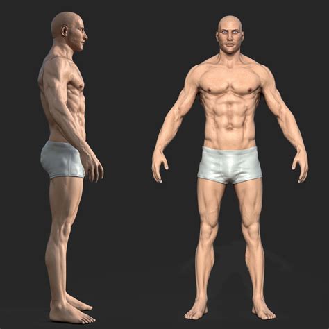 Modelo 3d Modelo 3d Rigged Male Muscular Game Ready Turbosquid 1331720