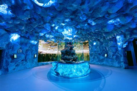 The National Aquarium Largest Aquarium In Middle East Opens In Abu