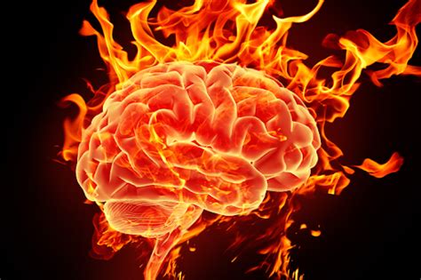 Brain On Fire A Disease Almost Undocumented In Medical History