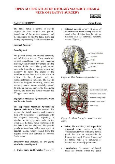 Open Access Atlas Of Otolaryngology Head And Neck Operative Surgery