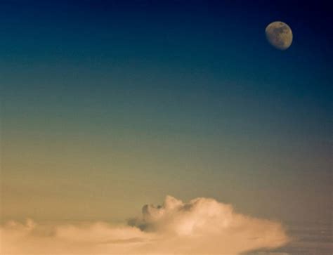 We did not find results for: The 100 best photographs ever taken without photoshop