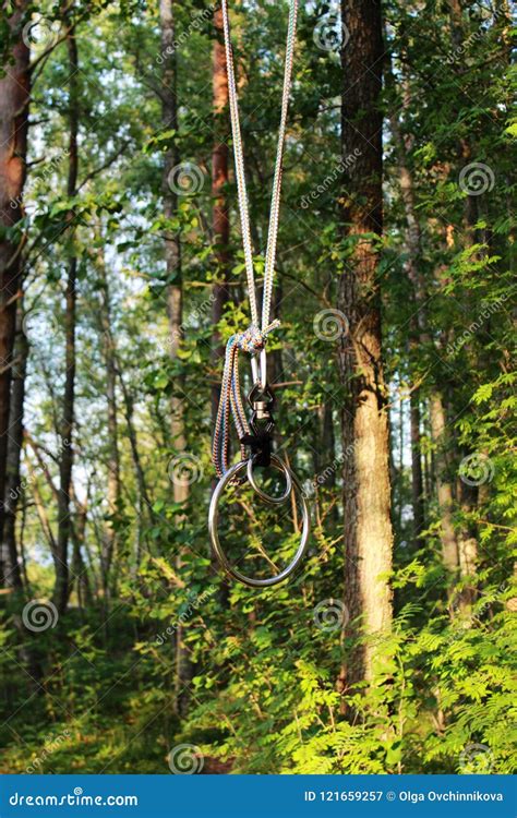 Rings Hanging From A Tree In The Forest To Practice Bondage And Shibari
