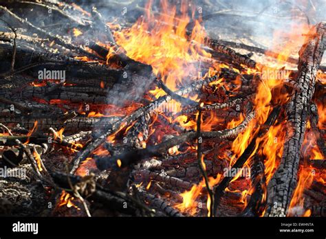 A Big Fire In The Forest Stock Photo Alamy