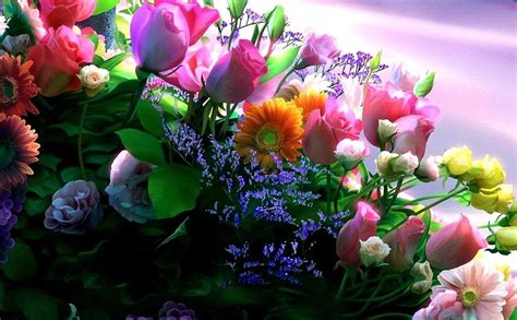 Ls mejores precios online en frigorificos y neveras. Dónde comprar flores baratas online | Dónde Puedo Comprar