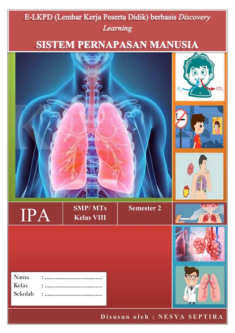 Gambar Sistem Pernapasan Manusia