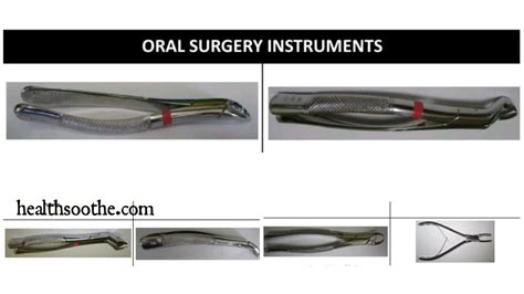 15 Oral Surgery Instruments And Their Uses
