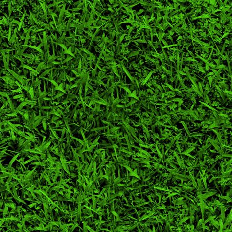 Download Texture Green Grass Background Texture Download Photo