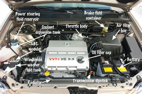 Car Under Hood Diagram