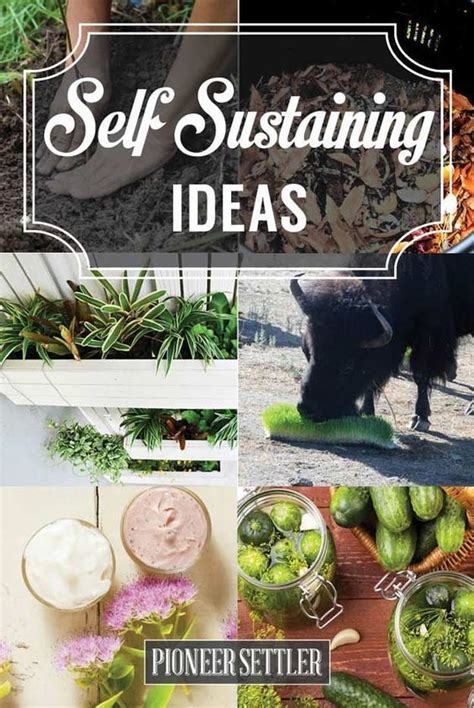 self sustaining ideas for living the homesteader s dream homesteading simple self sufficient