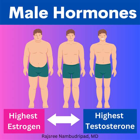 Natural Ways To Boost Your Testosterone Oc Integrative Medicine