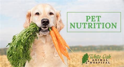 The Truth About Pet Nutrition: Learn How Feed Your Dog or Cat