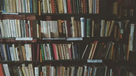 PENGERTIAN SUDUT PANDANG : Jenis, Macam, Contoh dalam Cerpen & Novel