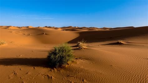 Sahara Desert Sand Sky 4k Sand Sahara Desert Wallpaper Earth
