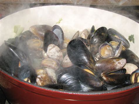 Steamed Mussels And Clams Bigoven