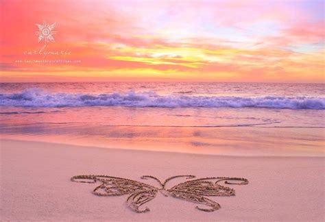 Butterfly In The Sand Beautiful Sunset Pretty