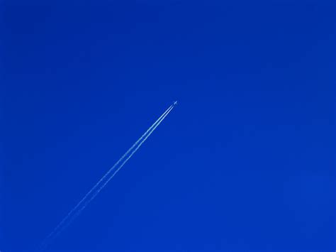 Free Photo Clear Sky Airplane Blue Clear Free Download Jooinn