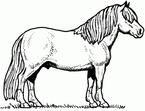 Super coloring free printable coloring pages for kids coloring sheets free colouring book illustrations printable pictures clipart black and white pictures line art and drawings. Horse Head Coloring Pages Printable Dog And Cat Coloring Page ... - ClipArt Best - ClipArt Best