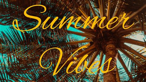Download Wallpaper 1920x1080 Summer Vibes Palm Mood Full Hd Hdtv Fhd 1080p Hd Background