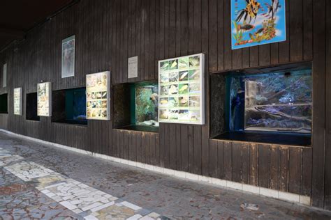 Zoo olomouc, svaty kopecek, czech republic. Pavilon šelem | Zoo Olomouc - Svatý Kopeček