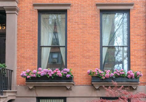 Crafted out of wrought iron and built to accommodate standard liners or terracotta pots, they look great beneath any window or on a deck rail. 7 Tips for Beautiful Window Boxes All Year Round | Brownstoner
