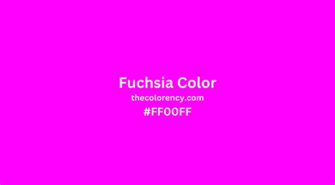 Fuchsia Color All Explained The Color Ency