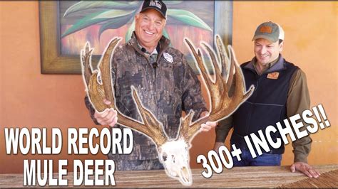 Sci World Record Mexico Mule Deer Trophy Youtube