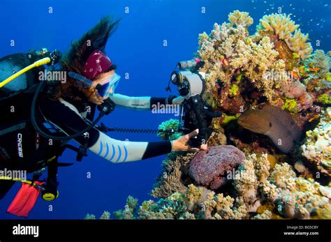 Underwater Photographer Scuba Diving Ras Mohammed Egypt Colorful