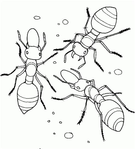 Picnic And Ants Coloring Pages - Coloring Home