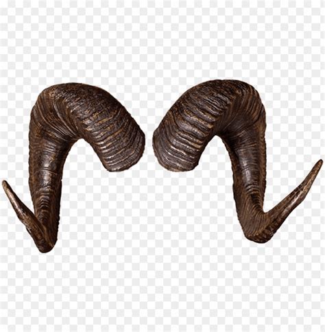 Rams Horns Png Ram Horn Png Transparent With Clear Background Id