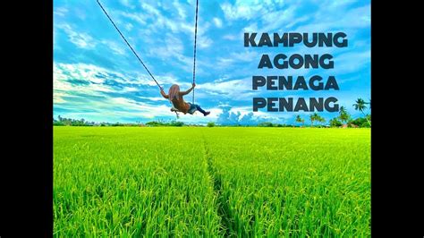 5.54023, 100.37974) is a countryside theme park in the village of bakar kapur , in penaga, seberang perai. #kampungagong Viral Kampung Agong Penaga Penang - YouTube