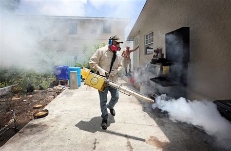 Florida To Begin Aerial Spraying Of Insecticides To Combat Zika Fortune