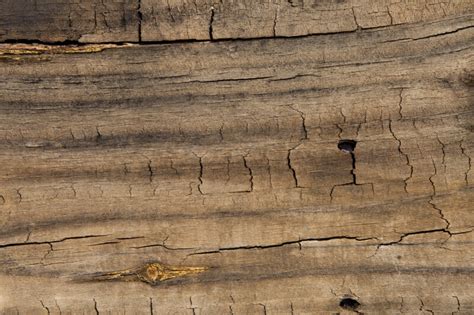 Cracking Wood Clippix Etc Educational Photos For Students And Teachers