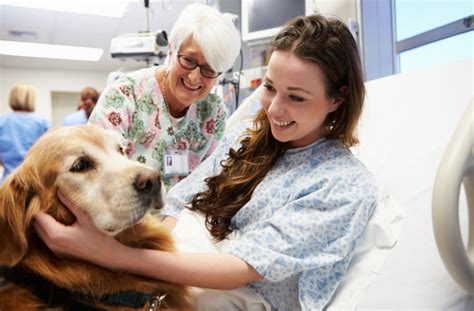 Leave us a review — we read everyone of them! Pet Visits in Hospitals: What Are the Risks? | PetMD